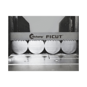 Bichamp – Ficut (2)